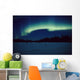Northern Lights Over Black Spruce Forest During Winter Wall Mural