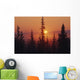 January Sun Across Foggy Forest Wall Mural