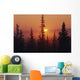 January Sun Across Foggy Forest Wall Mural