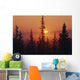 January Sun Across Foggy Forest Wall Mural