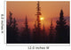 January Sun Across Foggy Forest Wall Mural