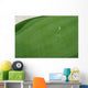 Golf course Wall Mural