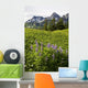 Lupine Wildfolwers Wall Mural