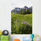 Lupine Wildfolwers Wall Mural