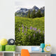 Lupine Wildfolwers Wall Mural