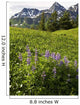 Lupine Wildfolwers Wall Mural