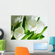 White Tulips
