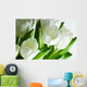 White Tulips