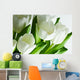 White Tulips