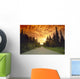 Road Going Into Sunset Rural Anchorage Sc Ak Summer Wall Mural