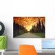Road Going Into Sunset Rural Anchorage Sc Ak Summer Wall Mural