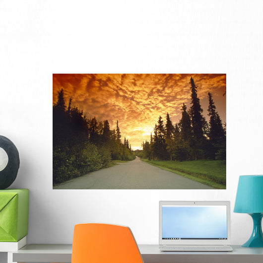 Road Going Into Sunset Rural Anchorage Sc Ak Summer Wall Mural
