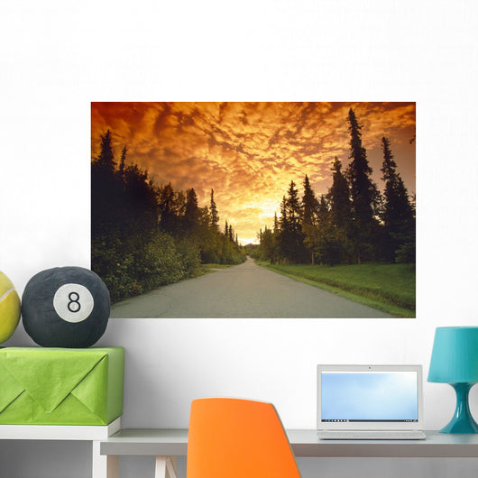 Road Going Into Sunset Rural Anchorage Sc Ak Summer Wall Mural