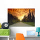 Road Going Into Sunset Rural Anchorage Sc Ak Summer Wall Mural