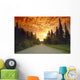 Road Going Into Sunset Rural Anchorage Sc Ak Summer Wall Mural
