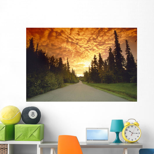 Road Going Into Sunset Rural Anchorage Sc Ak Summer Wall Mural