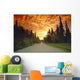 Road Going Into Sunset Rural Anchorage Sc Ak Summer Wall Mural