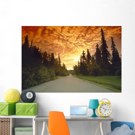 Road Going Into Sunset Rural Anchorage Sc Ak Summer Wall Mural