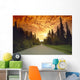 Road Going Into Sunset Rural Anchorage Sc Ak Summer Wall Mural
