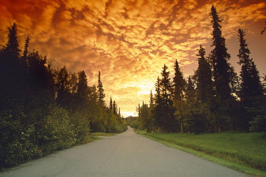 Road Going Into Sunset Rural Anchorage Sc Ak Summer Wall Mural