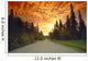 Road Going Into Sunset Rural Anchorage Sc Ak Summer Wall Mural