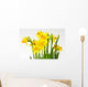 Daffodil daffodil Wall Decal
