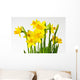 Daffodil daffodil Wall Decal