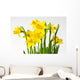 Daffodil daffodil Wall Decal