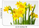 Daffodil daffodil Wall Decal