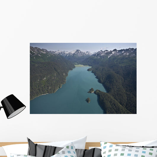 Aerial View Of Tutka Bay And Kenai Mountains Wall Mural