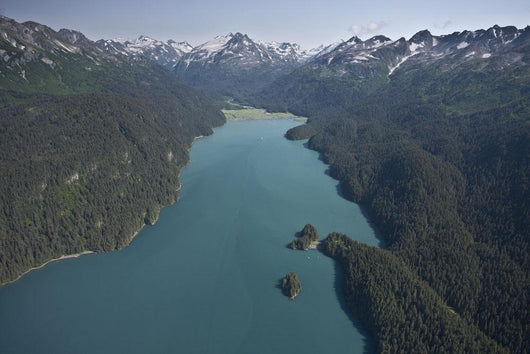 Aerial View Of Tutka Bay And Kenai Mountains Wall Mural