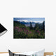 Fireweed & Chugach Mts Turnagain Arm Sc Alaska Wall Mural