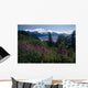 Fireweed & Chugach Mts Turnagain Arm Sc Alaska Wall Mural