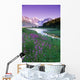 Fireweed In Bloom Along Pond W/Chugach Mtns Sc Ak Summer Wall Mural