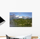 Scenic Big River Lakes Wall Decal