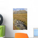 Scenic View Of Hatcher Pass Wall Mural
