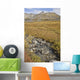 Scenic View Of Hatcher Pass Wall Mural