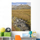 Scenic View Of Hatcher Pass Wall Mural