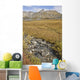 Scenic View Of Hatcher Pass Wall Mural