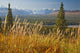 View Of Alaska Range And Eldridge Glacier, Southcentral Alaska, Autumn Wall Mural