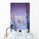 Snow Covered Spruce Trees Ak Range Int Ak Winter Wall Mural