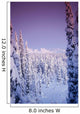 Snow Covered Spruce Trees Ak Range Int Ak Winter Wall Mural