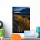 Fall Scenic Matanuska Glacier Chugach Mountains Southcentral Alaska Wall Mural