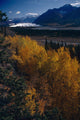 Fall Scenic Matanuska Glacier Chugach Mountains Southcentral Alaska Wall Mural