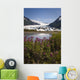 Scenic View Of Spencer Glacier Wall Mural