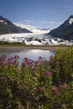 Scenic View Of Spencer Glacier Wall Mural