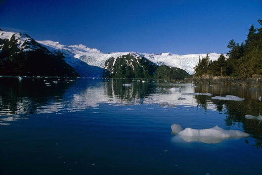 Blackstone Bay Blackstone Glacier Pws Summer Alaska Wall Mural