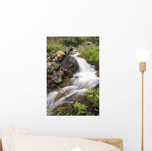 Stream Near Eielson Visitor Center Denali National Park Alaska Wall Mural