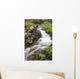 Stream Near Eielson Visitor Center Denali National Park Alaska Wall Mural