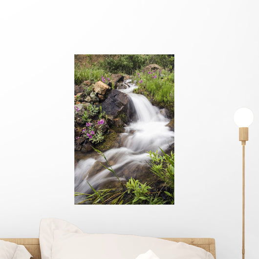 Stream Near Eielson Visitor Center Denali National Park Alaska Wall Mural